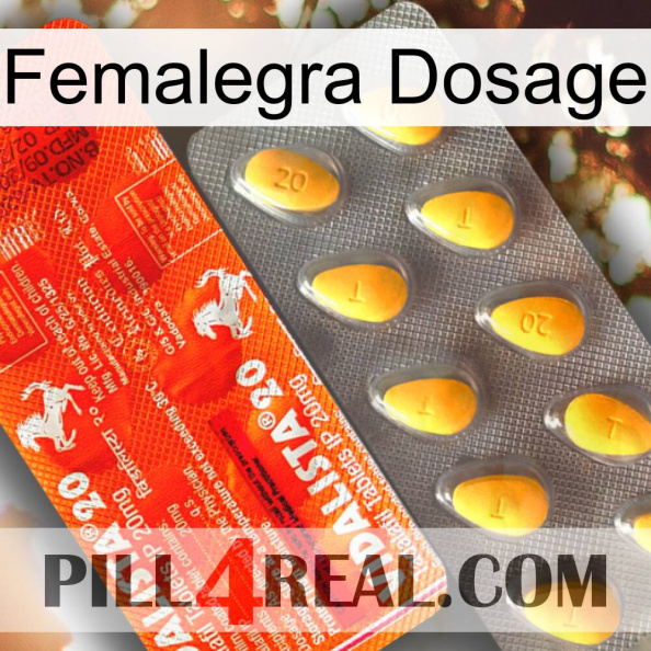 Femalegra Dosage new01.jpg